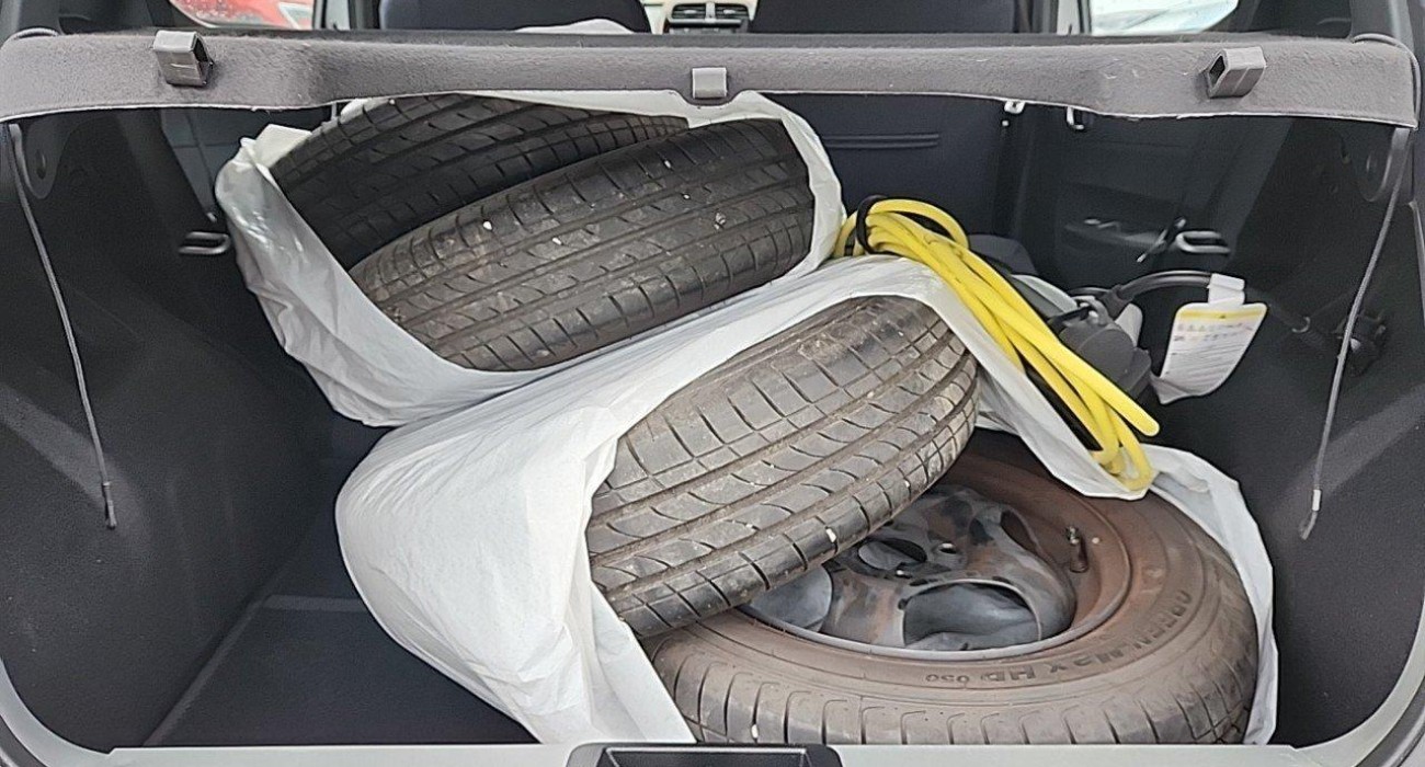 Dacia SPRING Achat Intégral Confort Plus 12